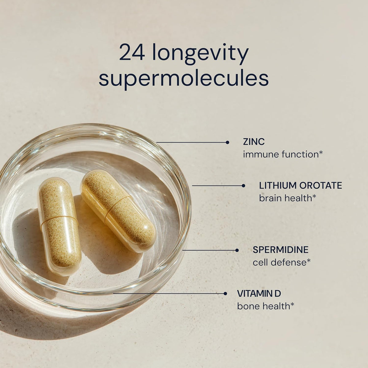 Blueprint Longevity Mix + Essential Capsules Bundle